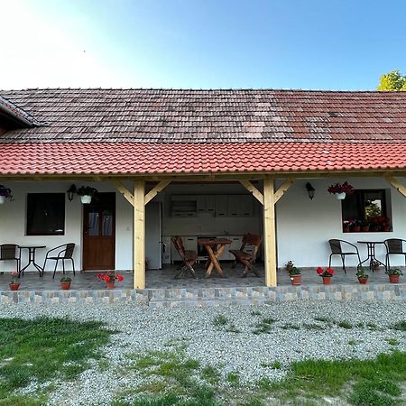 Cîrţişoara Casa Andreiヴィラ エクステリア 写真
