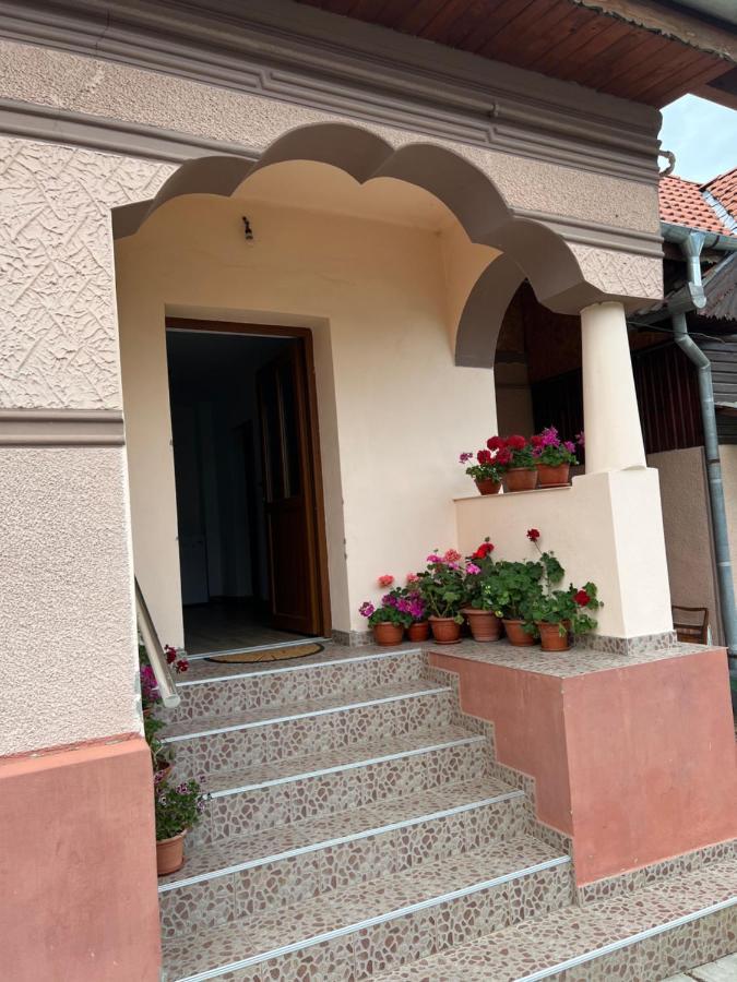 Cîrţişoara Casa Andreiヴィラ エクステリア 写真