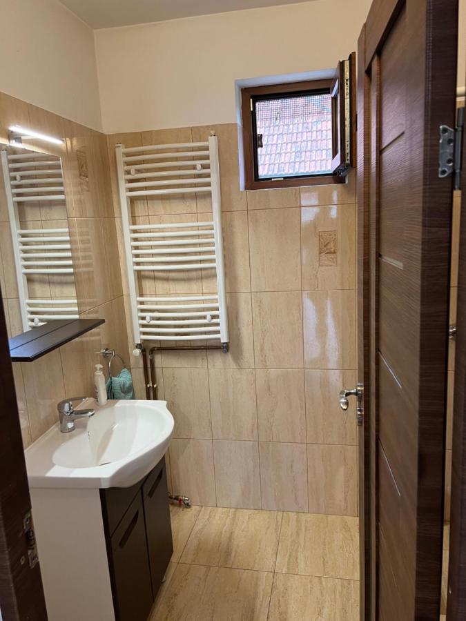Cîrţişoara Casa Andreiヴィラ エクステリア 写真