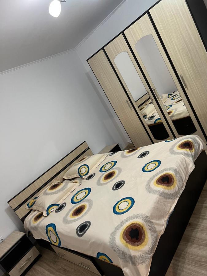 Cîrţişoara Casa Andreiヴィラ エクステリア 写真