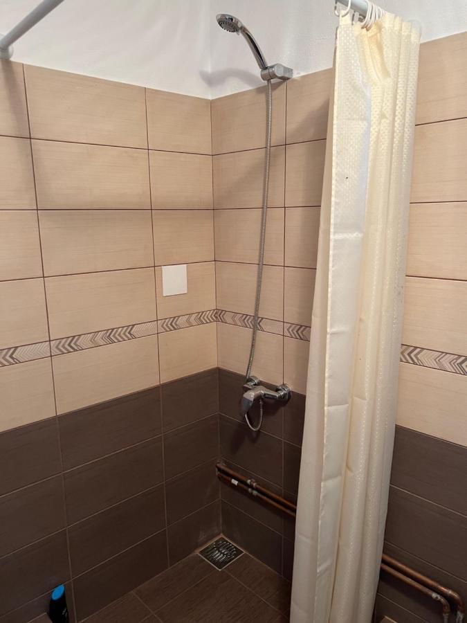 Cîrţişoara Casa Andreiヴィラ エクステリア 写真