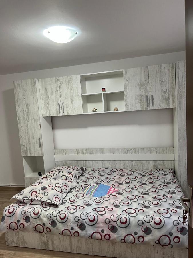 Cîrţişoara Casa Andreiヴィラ エクステリア 写真