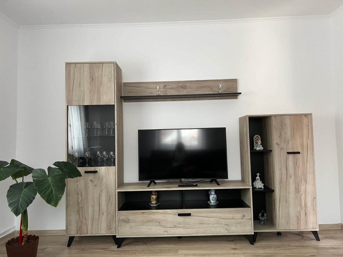 Cîrţişoara Casa Andreiヴィラ エクステリア 写真
