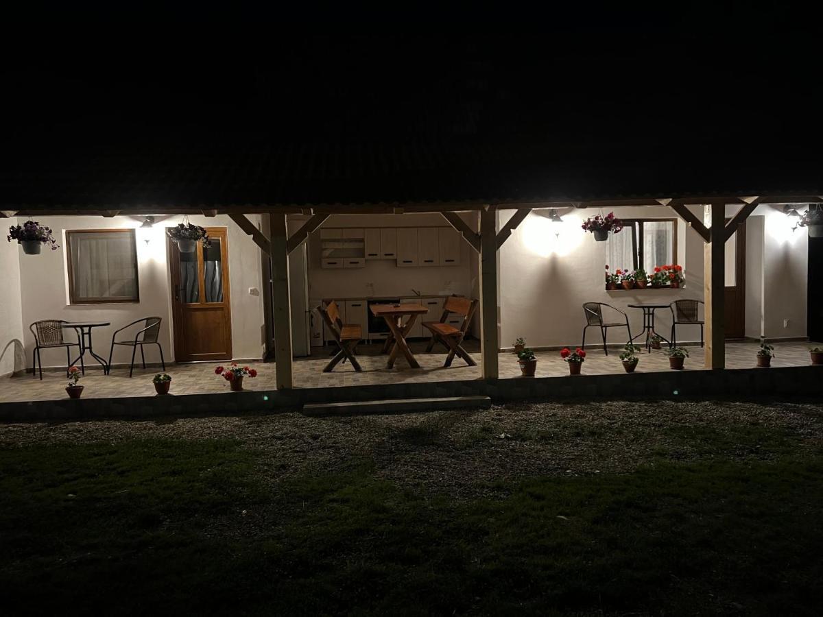 Cîrţişoara Casa Andreiヴィラ エクステリア 写真