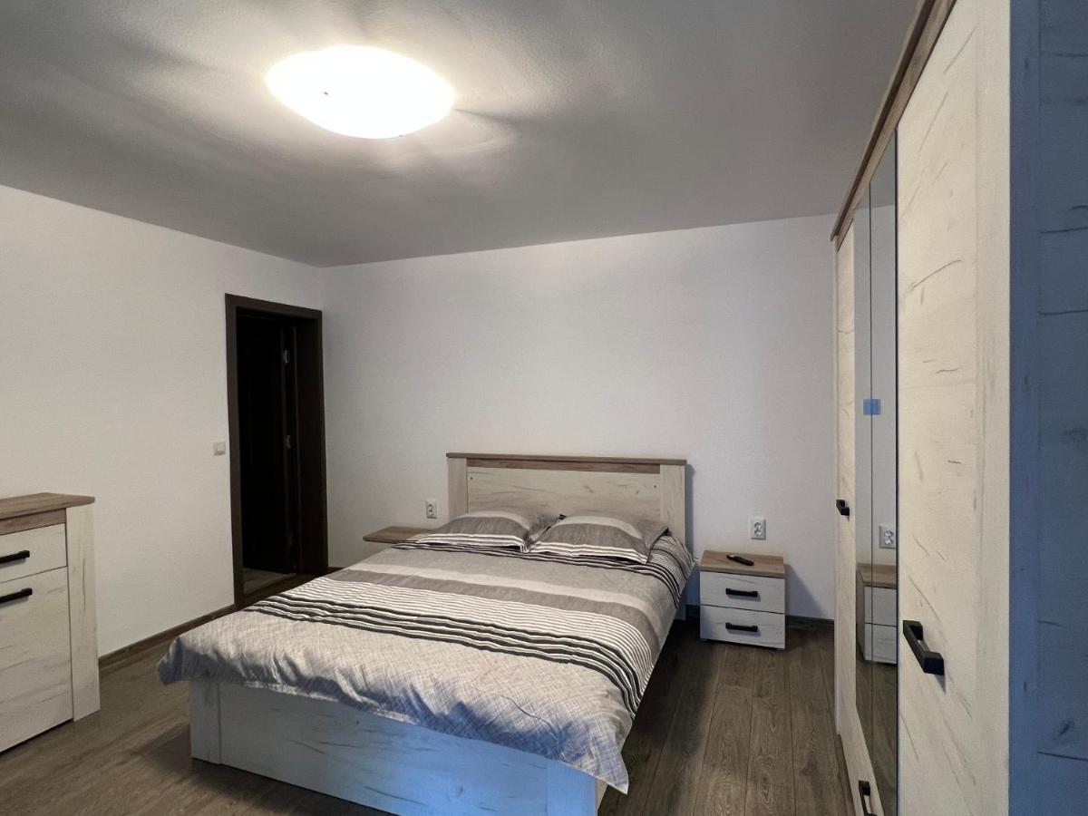 Cîrţişoara Casa Andreiヴィラ エクステリア 写真