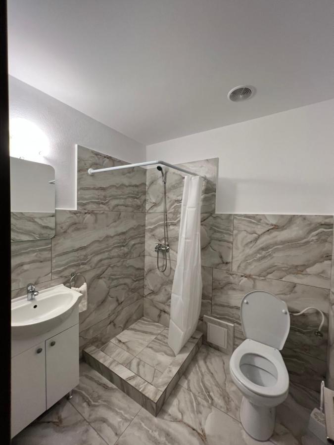 Cîrţişoara Casa Andreiヴィラ エクステリア 写真