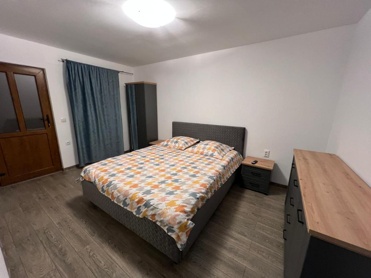 Cîrţişoara Casa Andreiヴィラ エクステリア 写真