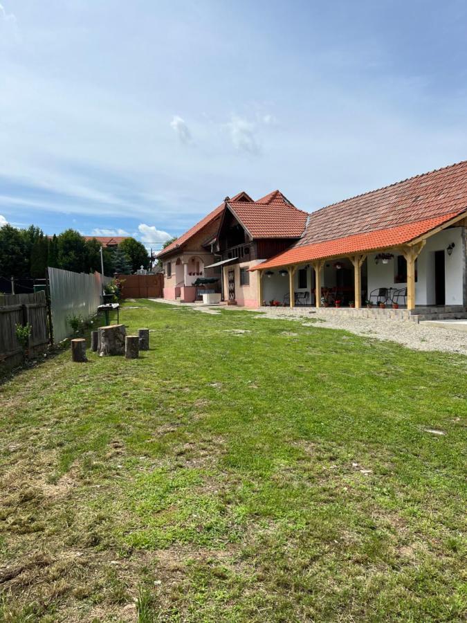 Cîrţişoara Casa Andreiヴィラ エクステリア 写真