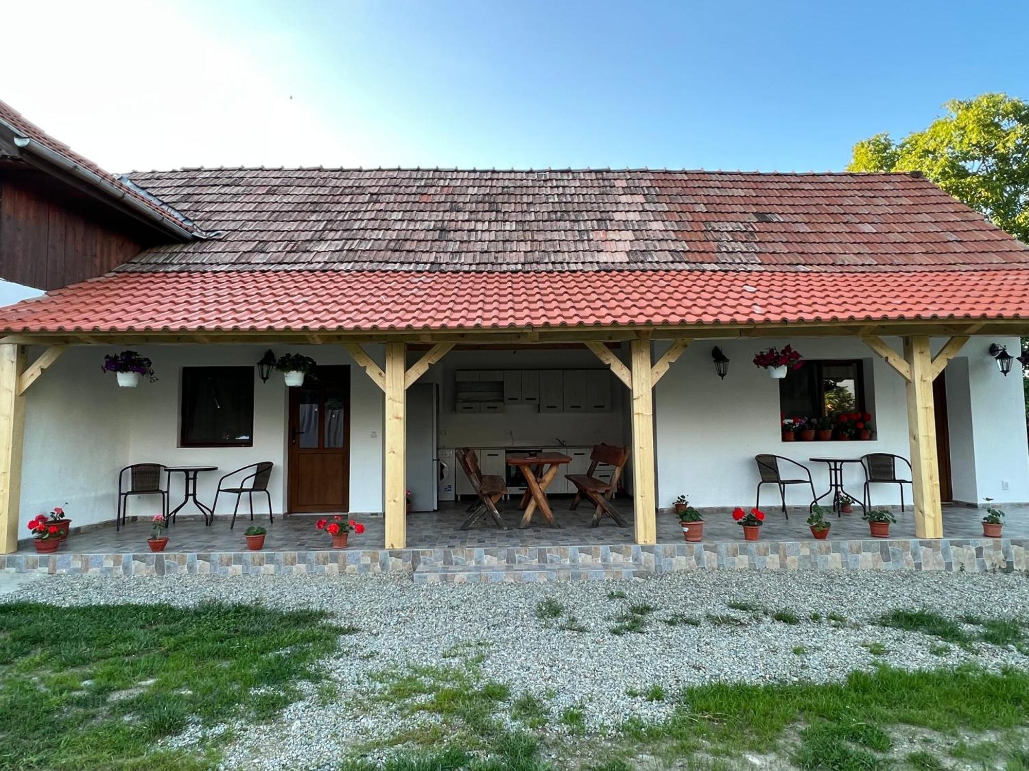 Cîrţişoara Casa Andreiヴィラ エクステリア 写真